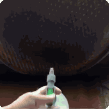 Pulverizador Adaptable a Botellas | Spraymax®
